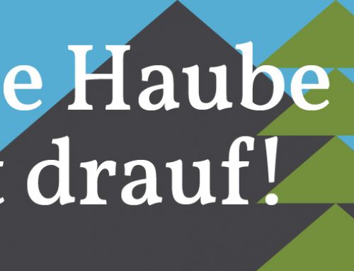 Unsere Mühle hat jetzt eine Haube