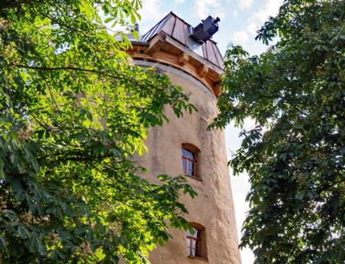 Deutscher Mühlentag am 20. Mai 2024